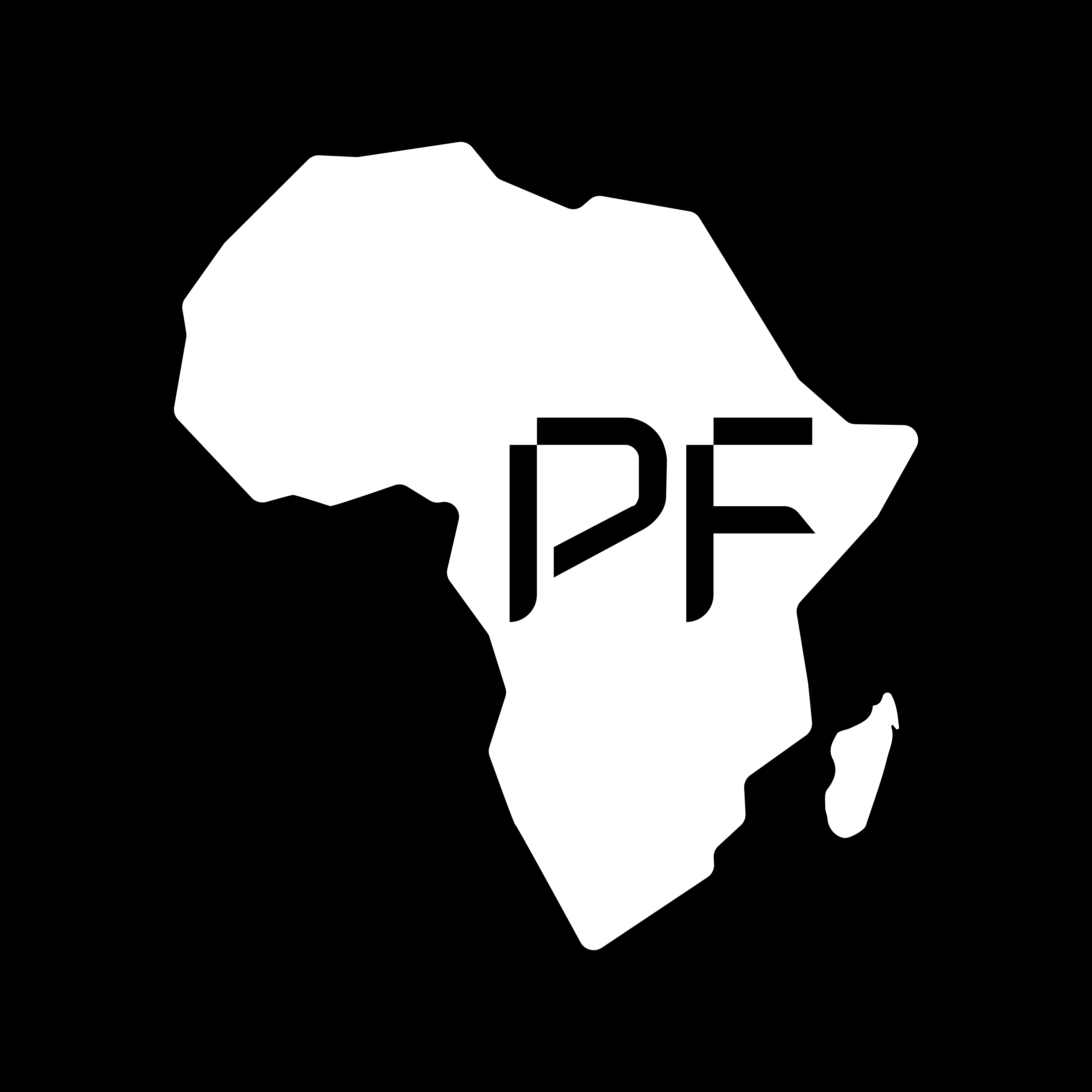 Contact PF Africa Mining
